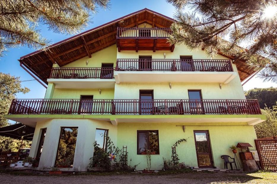 Grandemi Belvedere Bucovina Frasin Exteriör bild