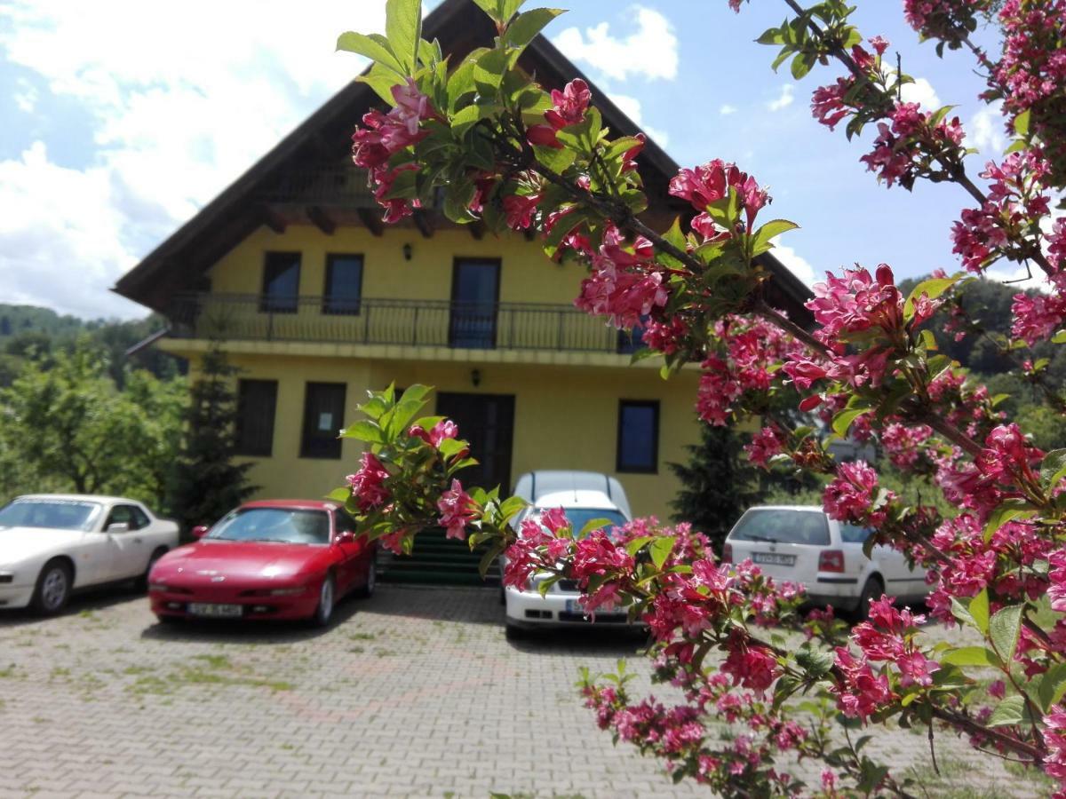 Grandemi Belvedere Bucovina Frasin Exteriör bild