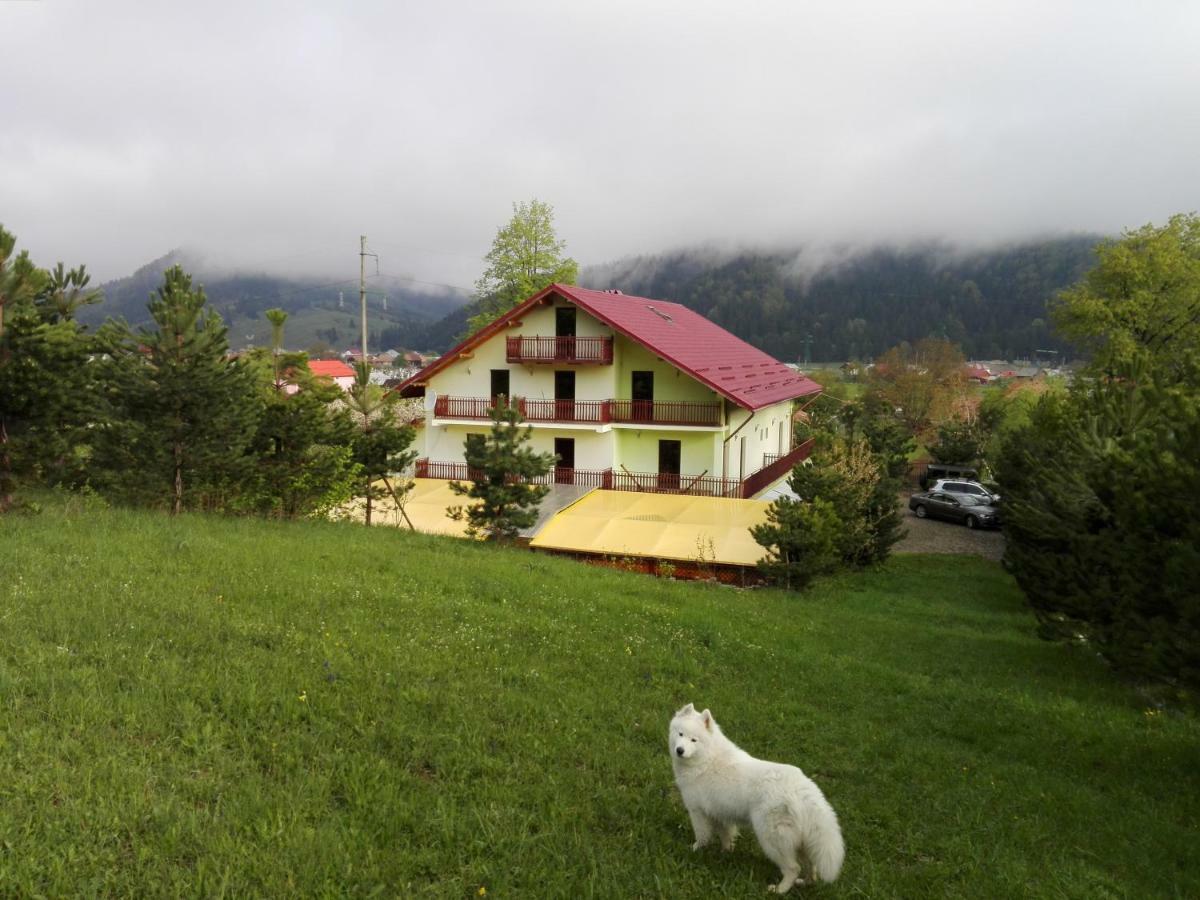 Grandemi Belvedere Bucovina Frasin Exteriör bild