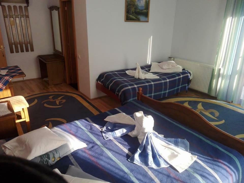Grandemi Belvedere Bucovina Frasin Exteriör bild